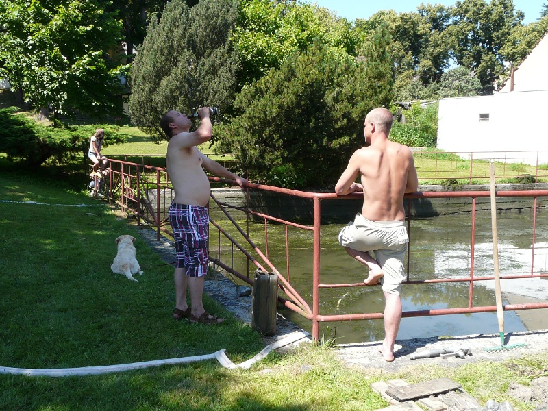P1080815.JPG