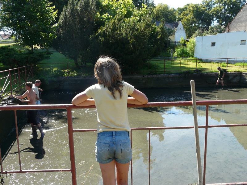 P1080829.JPG