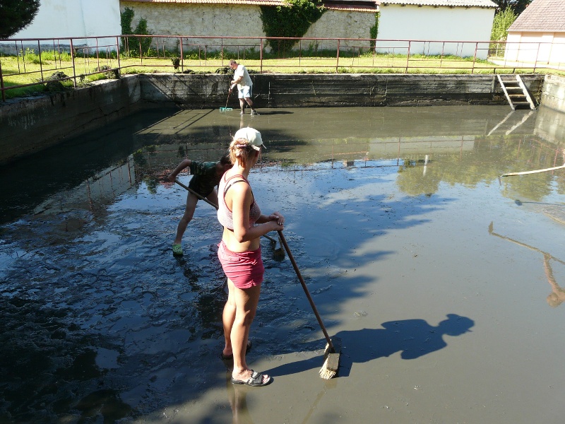 P1080842.JPG