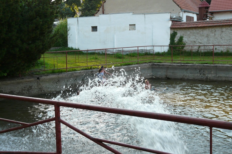 P1080885.JPG
