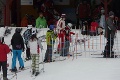 P1100739_.JPG