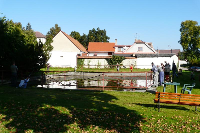 P1130005.JPG
