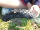 P1220048_.JPG