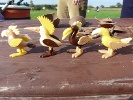 P1220056_.JPG