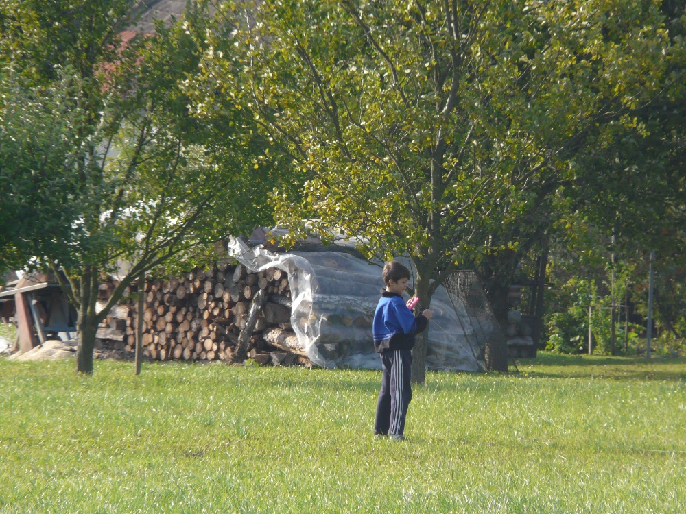 P1220066.JPG