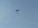 P1220067_.JPG