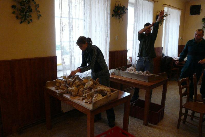 P1140404.JPG