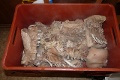 P1170680_.JPG