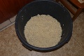 P1170683_.JPG