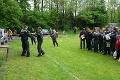 P1070886_.JPG