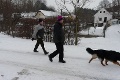P1100631_.JPG