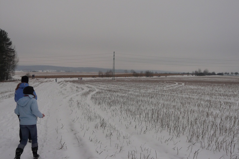 P1100639.JPG
