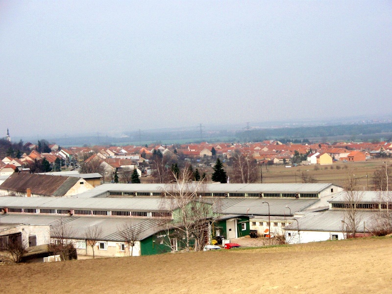 P3265870.JPG