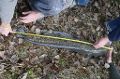 P1130295_.JPG