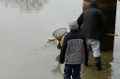 P1130360_.JPG