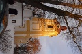 P1100564_.JPG
