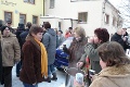 P1100572_.JPG